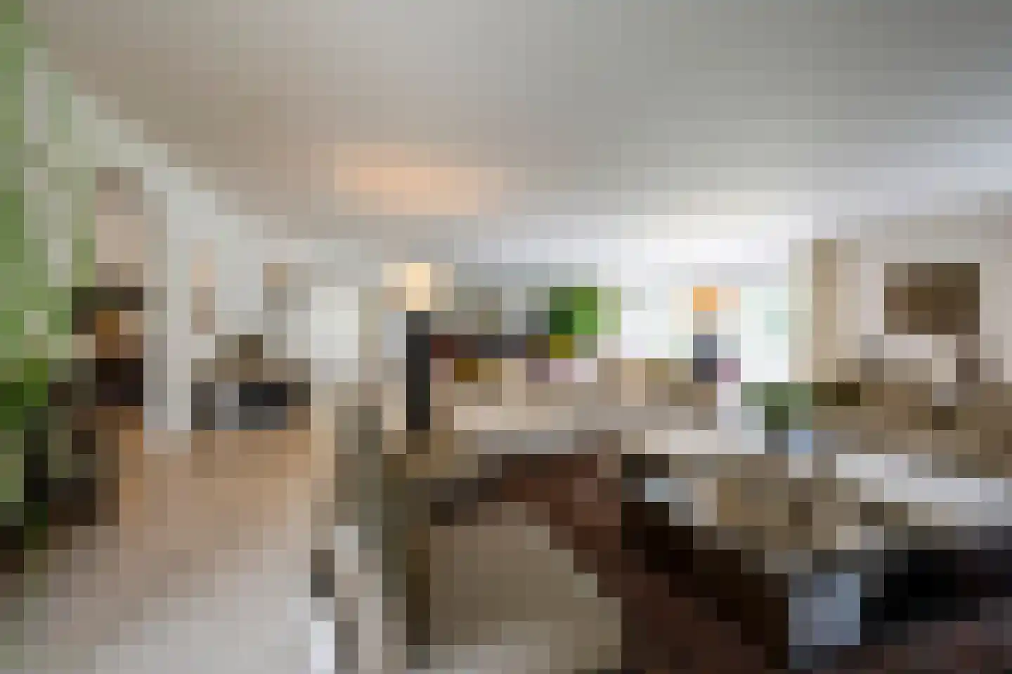 Naarderstraat 89 Laren thumbnail 19