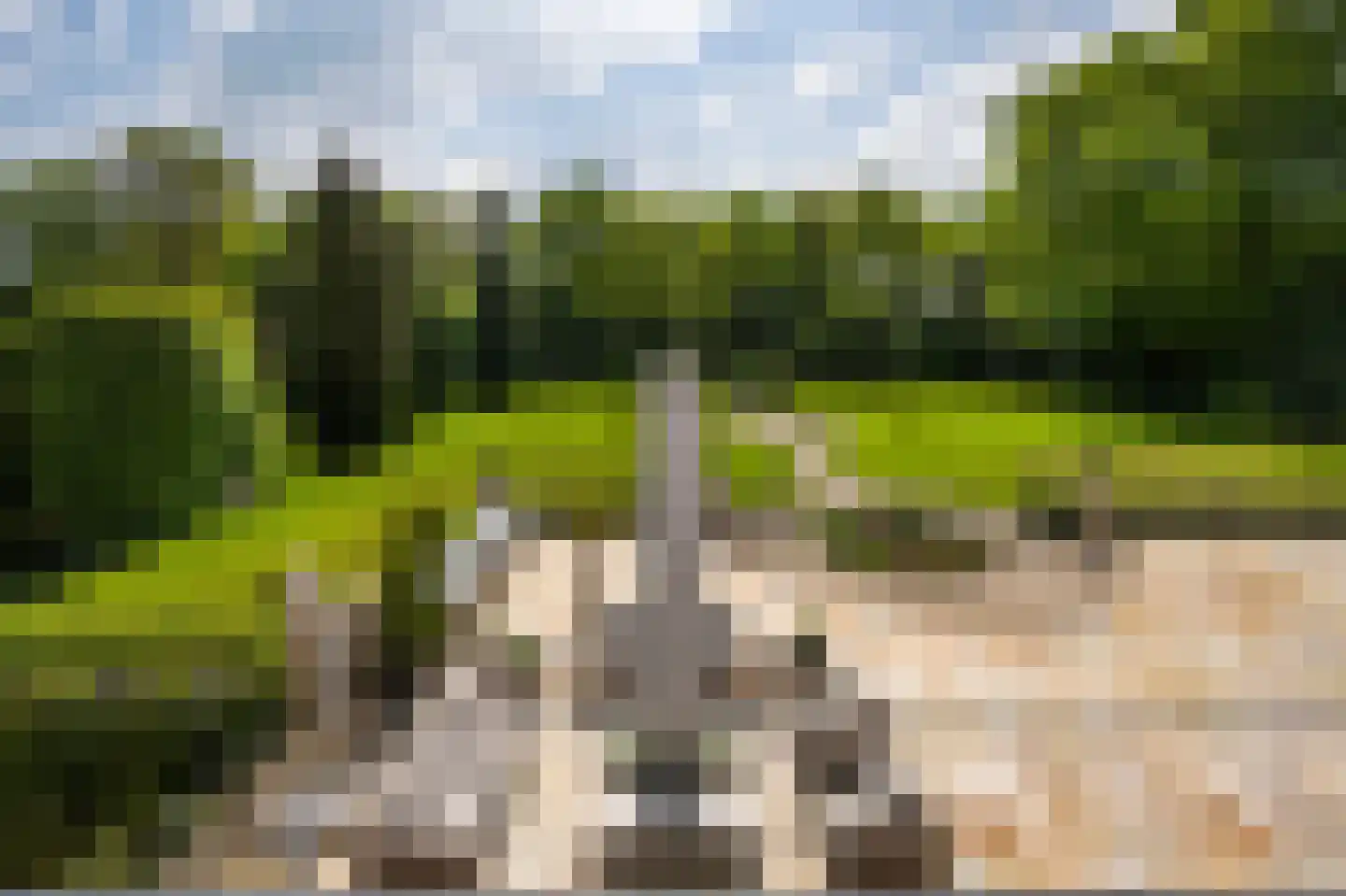 Naarderstraat 89 Laren thumbnail 39