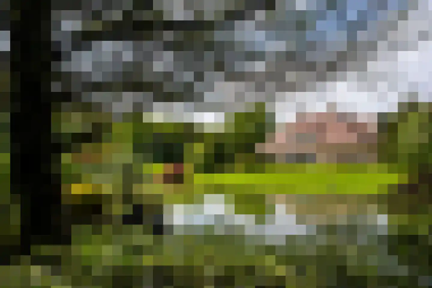 Naarderstraat 89 Laren thumbnail 4