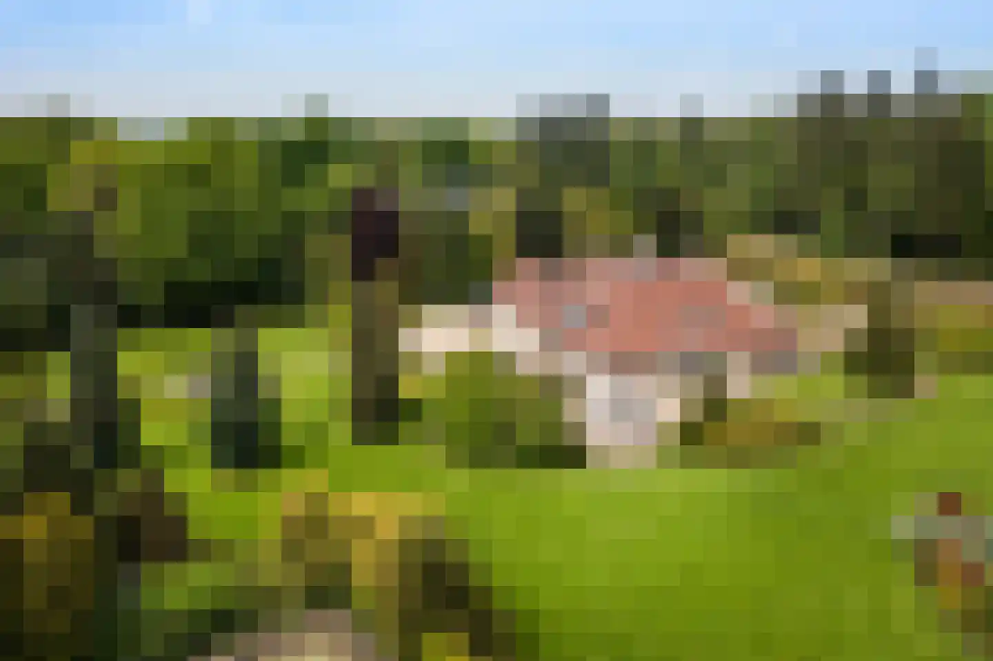 Naarderstraat 89 Laren thumbnail 64