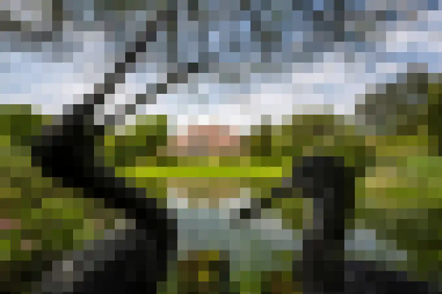 Naarderstraat 89 Laren thumbnail 66