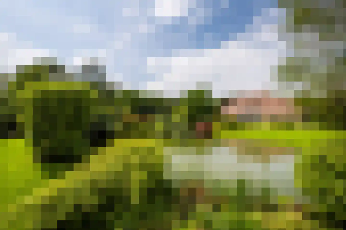 Naarderstraat 89 Laren thumbnail 67