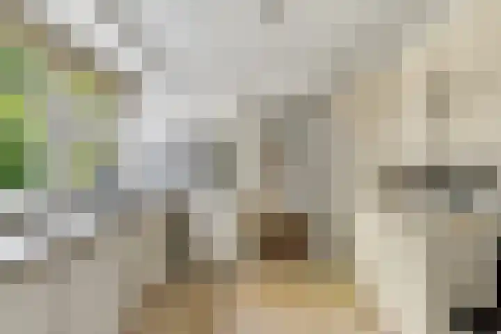 Naarderweg 34 Blaricum thumbnail 29