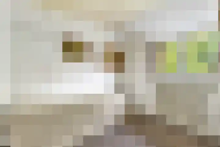 Naarderweg 34 Blaricum thumbnail 35