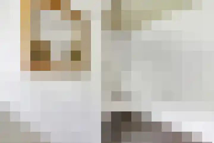Naarderweg 34 Blaricum thumbnail 36