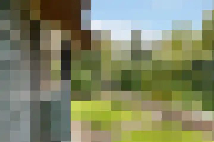Naarderweg 34 Blaricum thumbnail 39