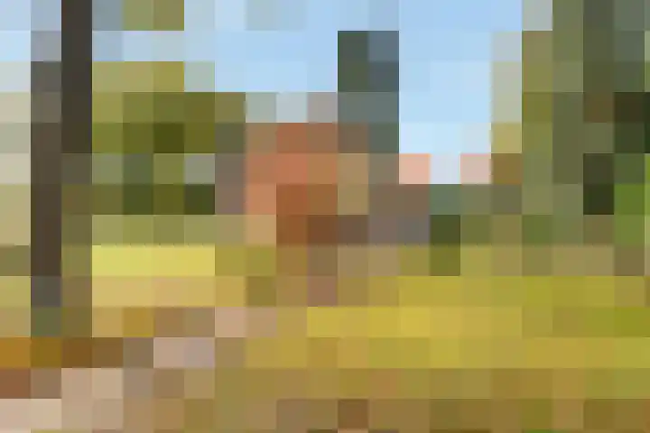 Naarderweg 34 Blaricum thumbnail 4