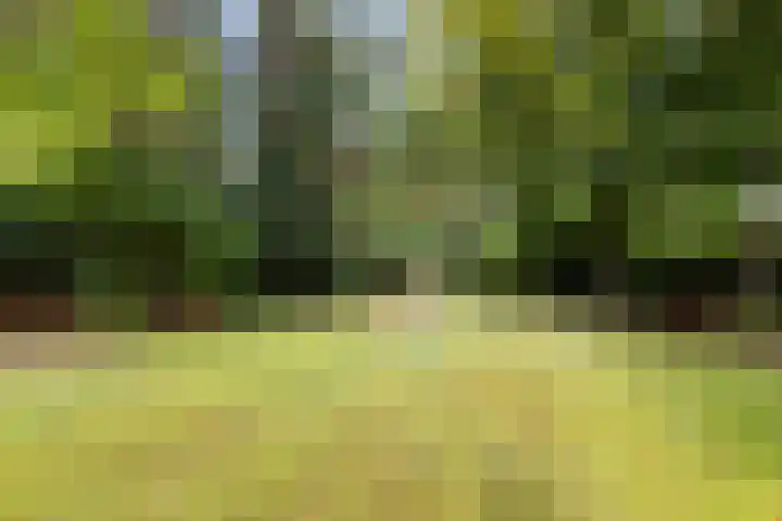 Naarderweg 34 Blaricum thumbnail 41