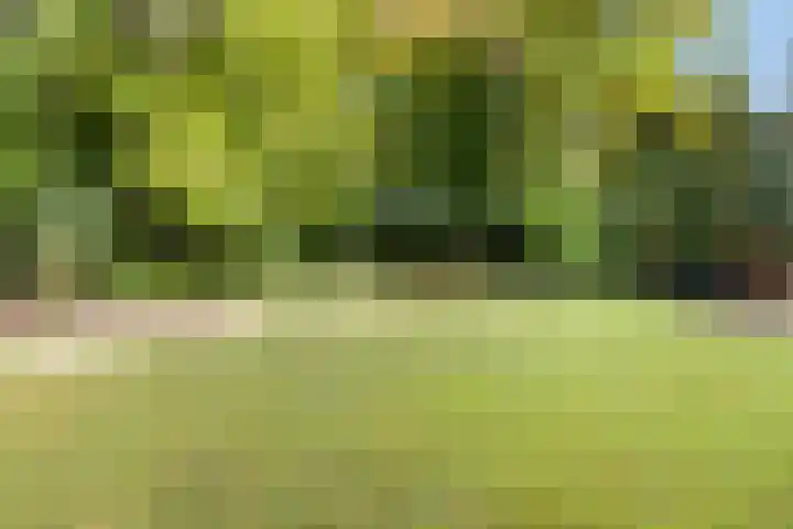 Naarderweg 34 Blaricum thumbnail 42