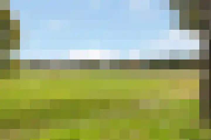 Naarderweg 34 Blaricum thumbnail 47