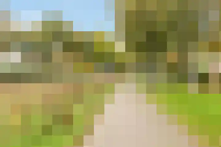 Naarderweg 34 Blaricum thumbnail 48