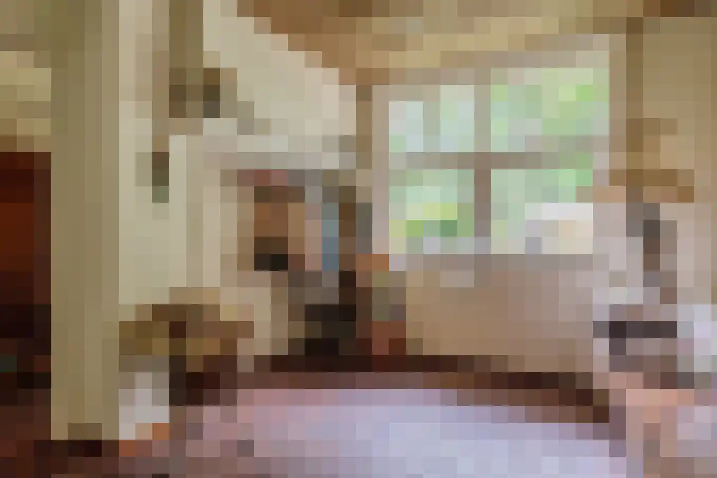 Naarderweg 61 Blaricum thumbnail 11