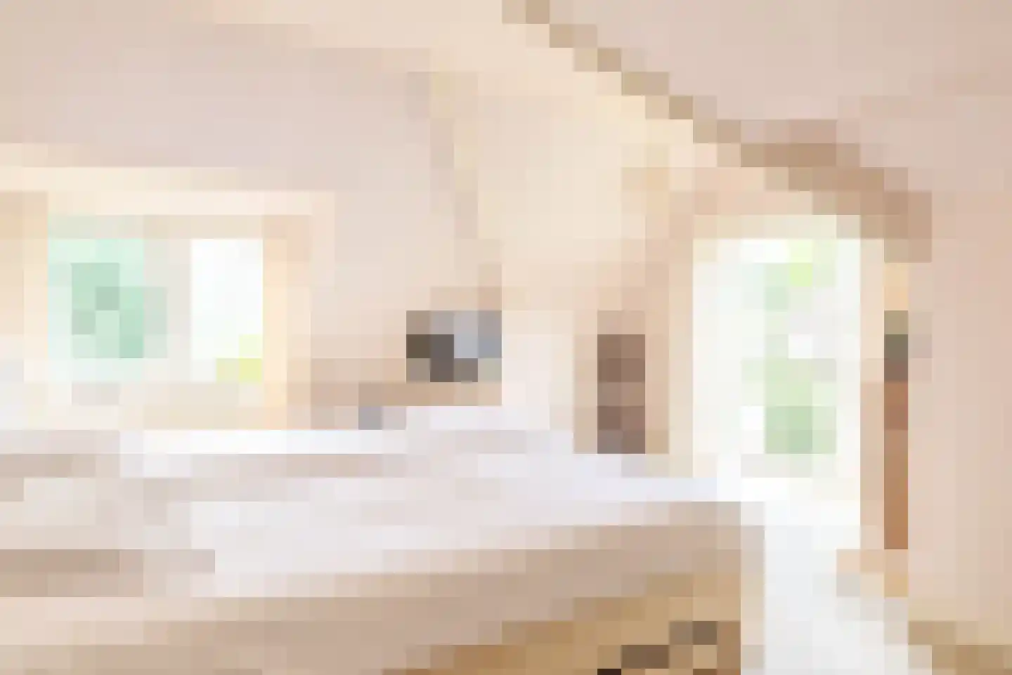 Naarderweg 61 Blaricum thumbnail 27