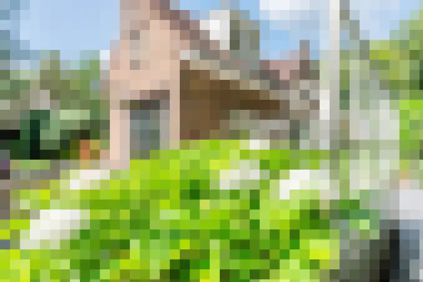 Naarderweg 61 Blaricum thumbnail 33