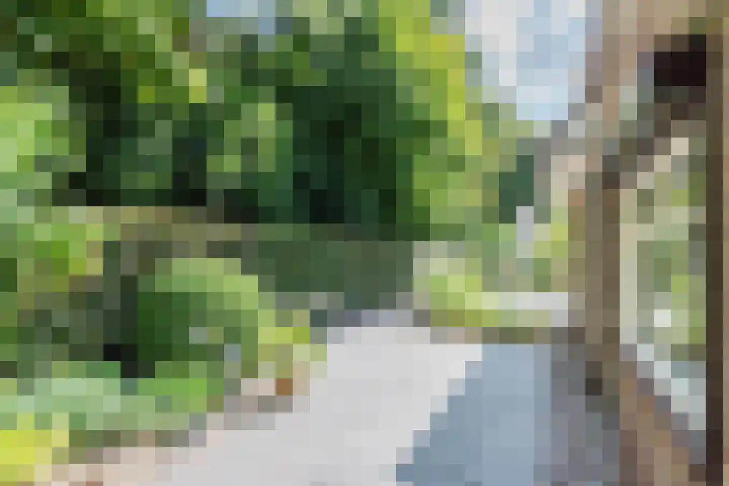 Naarderweg 61 Blaricum thumbnail 34