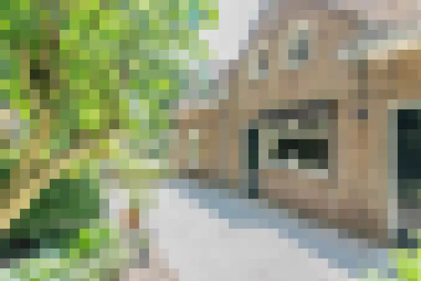 Naarderweg 61 Blaricum thumbnail 35