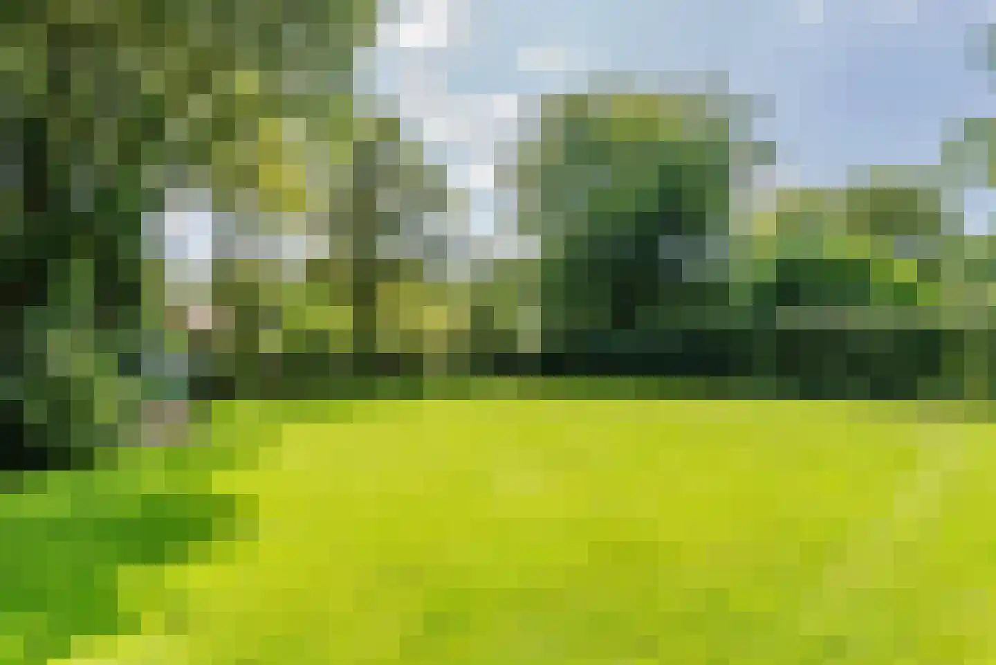 Naarderweg 61 Blaricum thumbnail 38