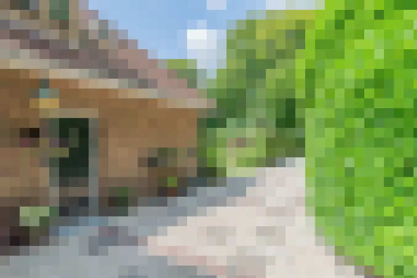 Naarderweg 61 Blaricum thumbnail 44
