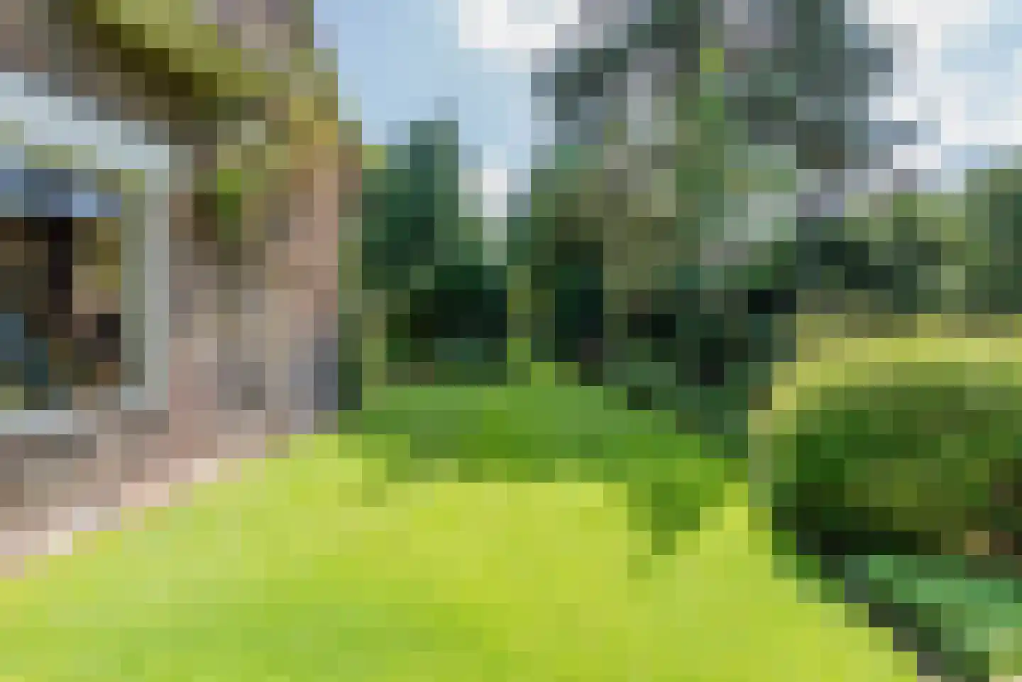 Naarderweg 61 Blaricum thumbnail 47