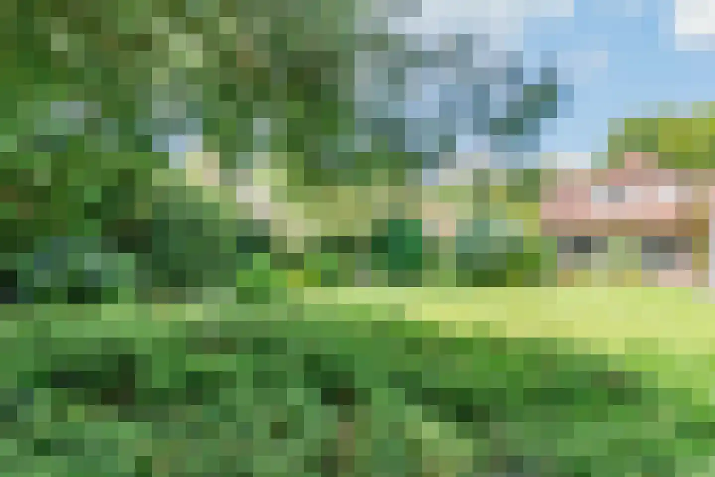 Naarderweg 61 Blaricum thumbnail 48