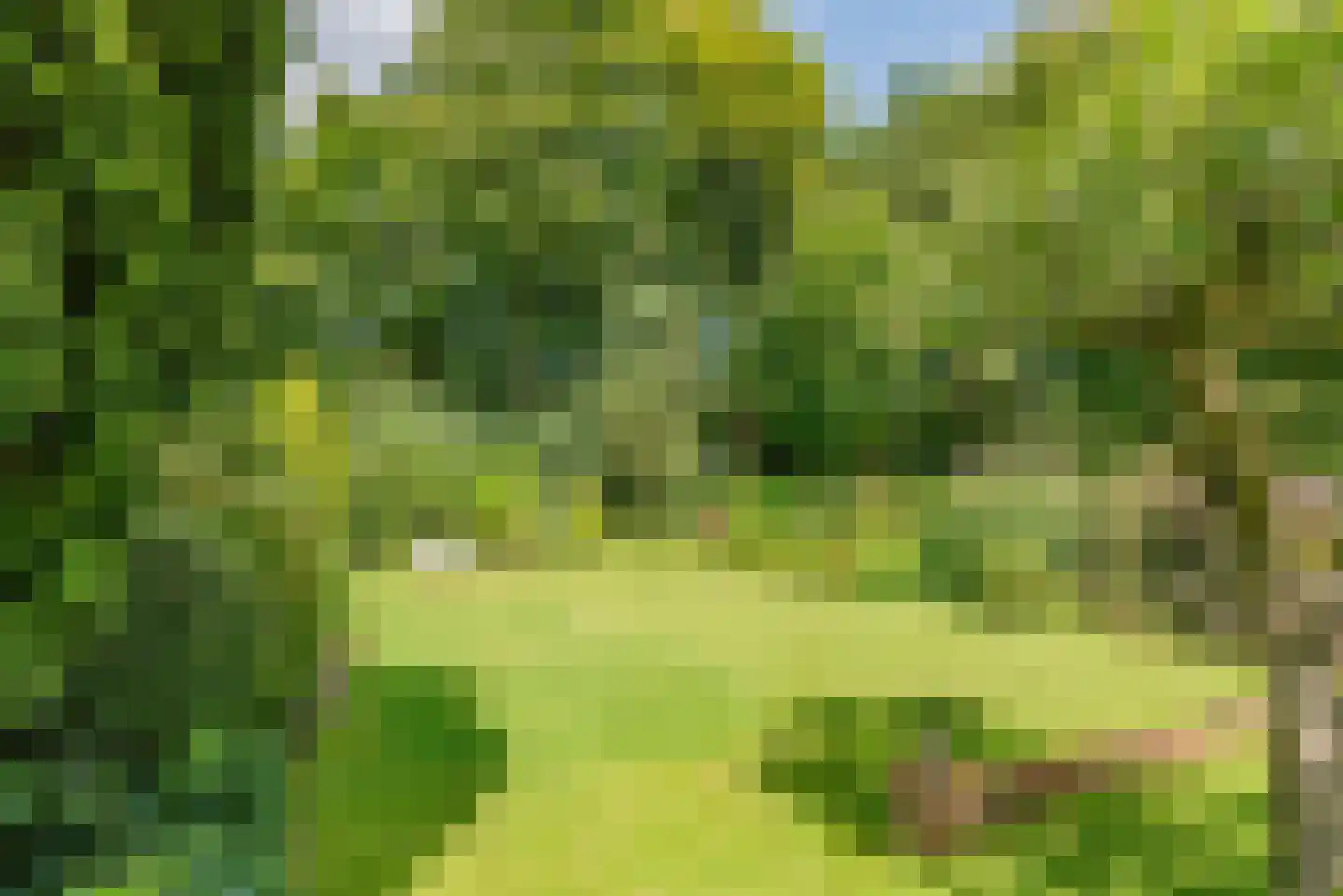 Naarderweg 61 Blaricum thumbnail 6