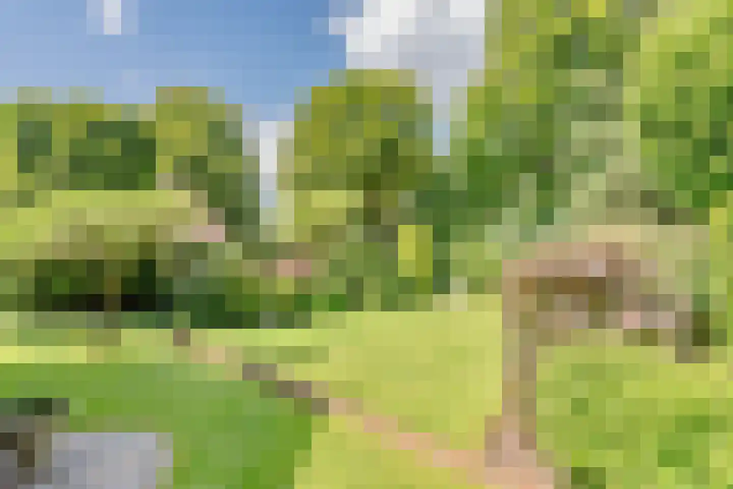Naarderweg 61 Blaricum thumbnail 7
