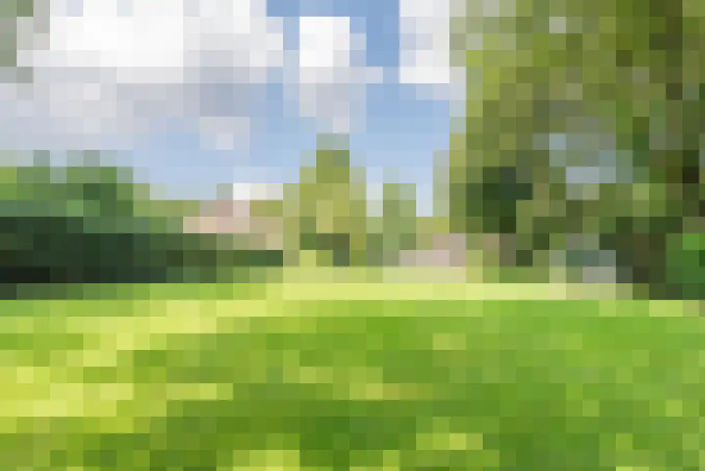 Naarderweg 61 Blaricum thumbnail 8