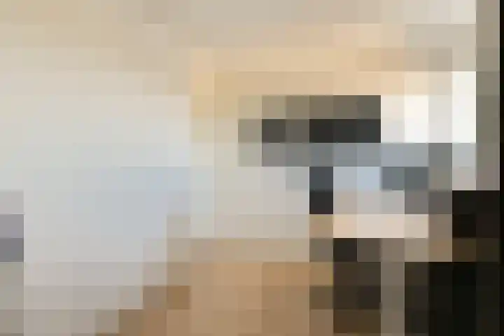 Naardingerland 27 Huizen thumbnail 13