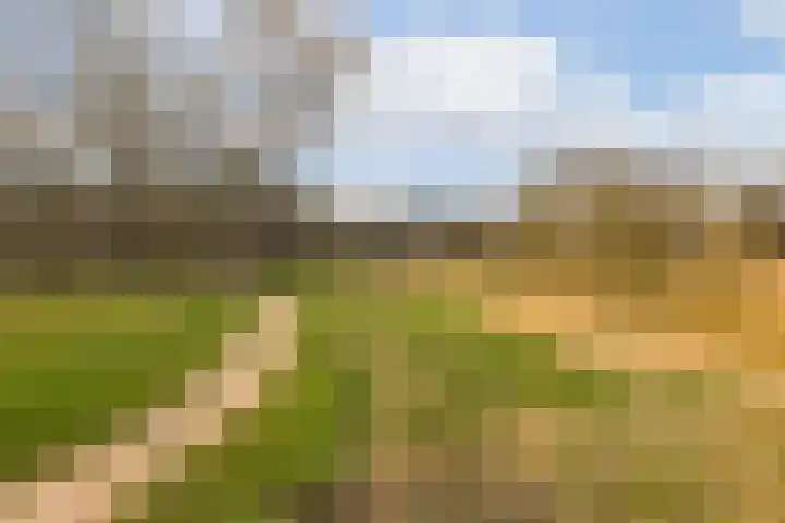 Naardingerland 27 Huizen thumbnail 24
