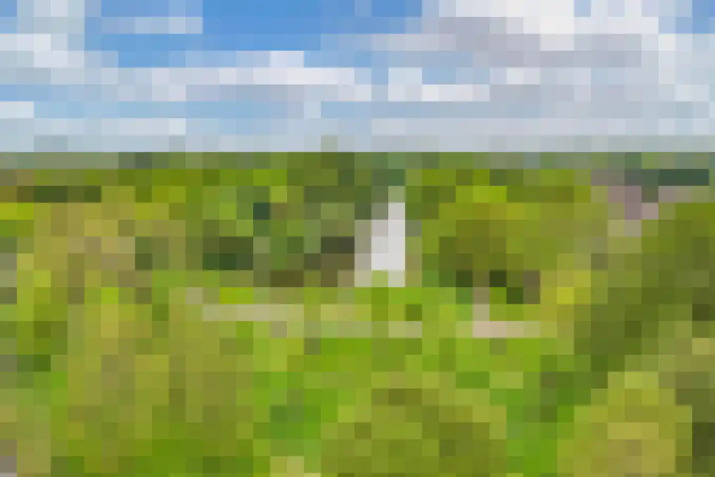 Naardingerland 71 Huizen thumbnail 29