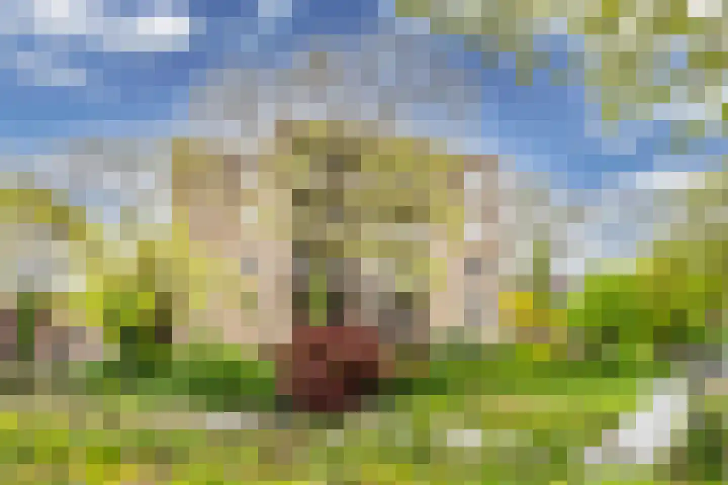 Naardingerland 71 Huizen thumbnail 4