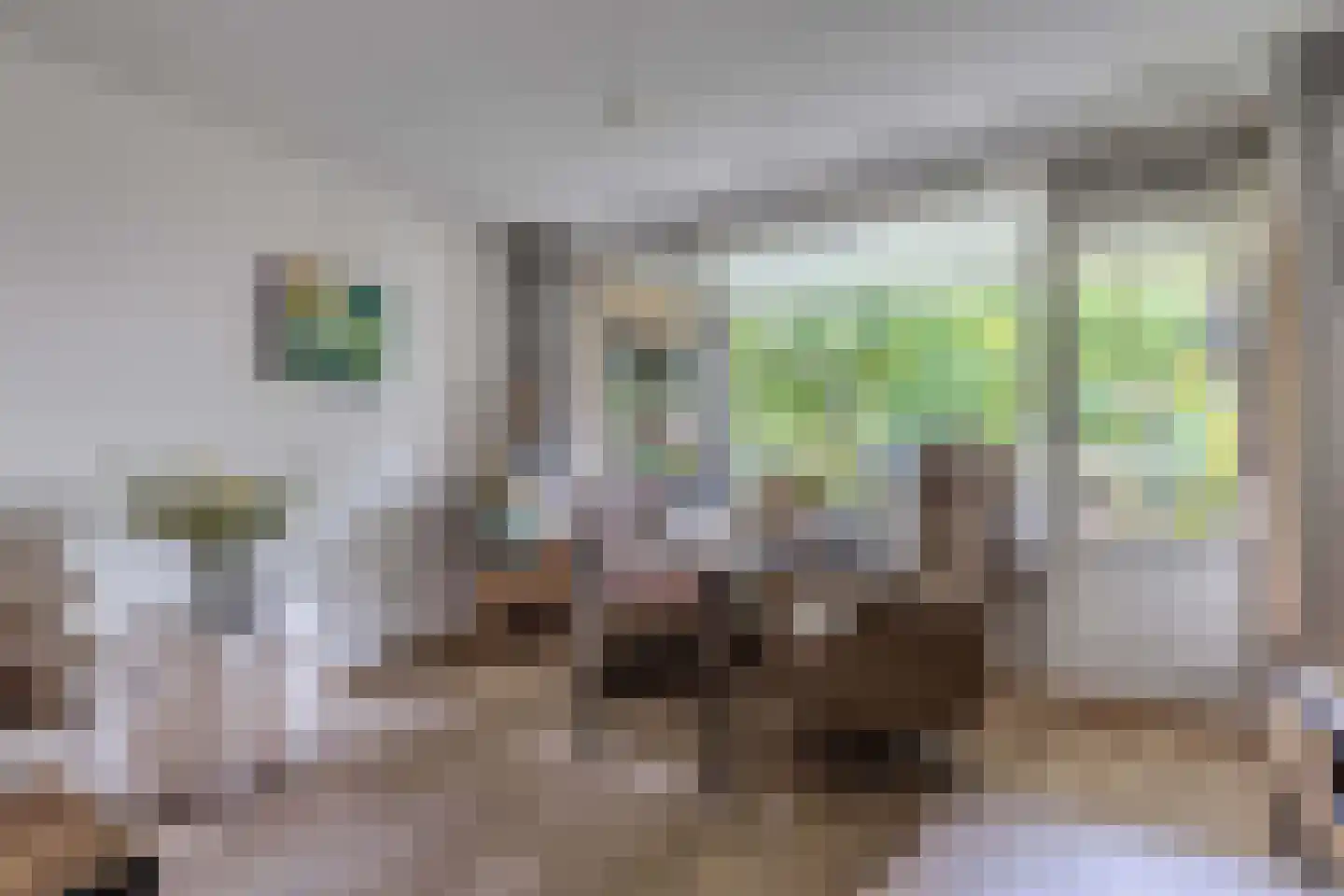 Naardingerland 9 Huizen thumbnail 10