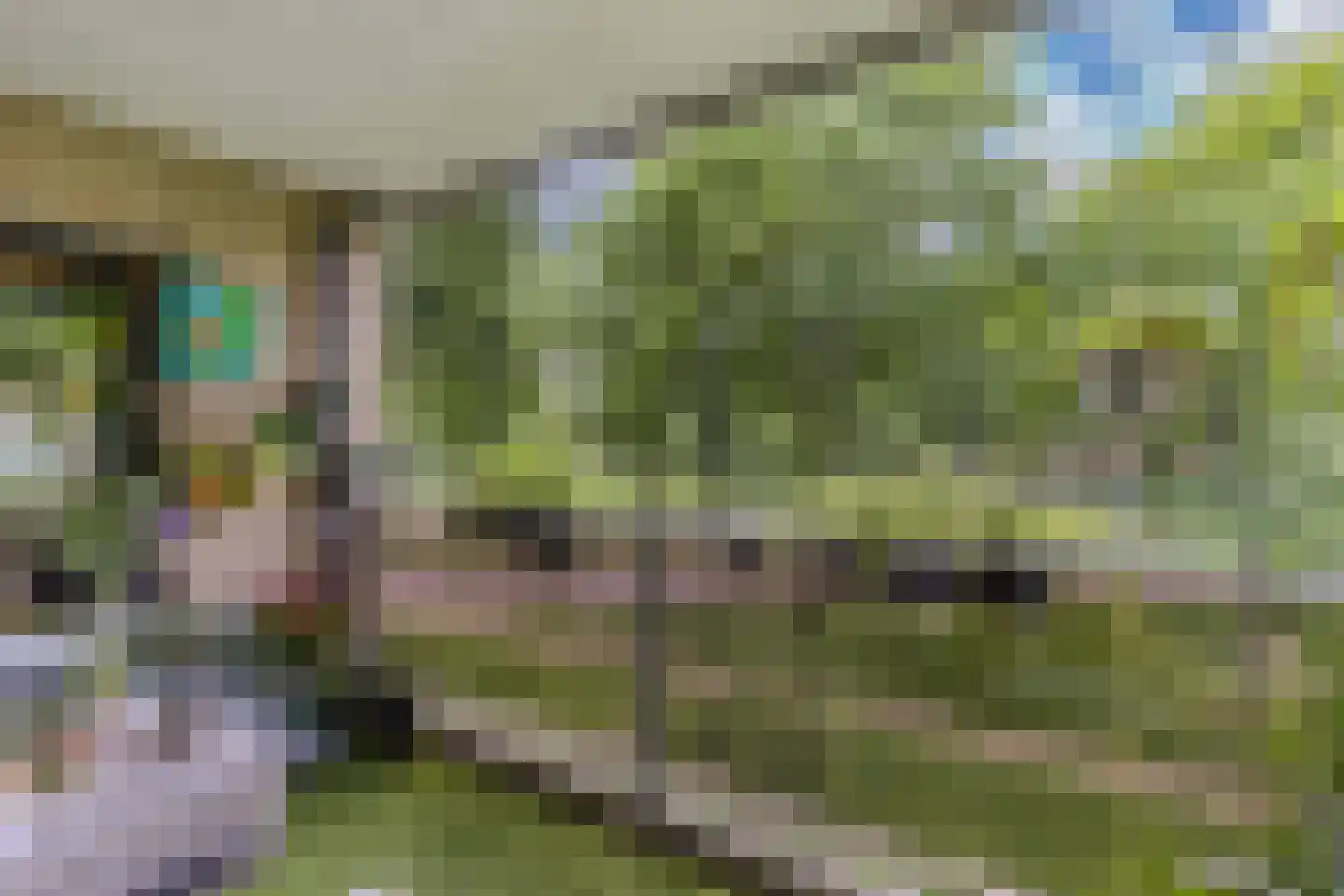 Naardingerland 9 Huizen thumbnail 11