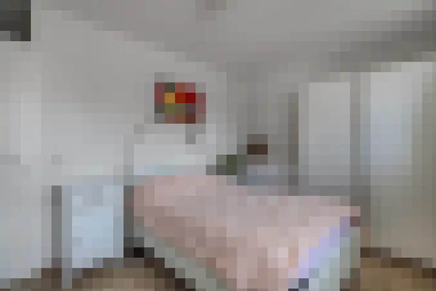 Naardingerland 9 Huizen thumbnail 16