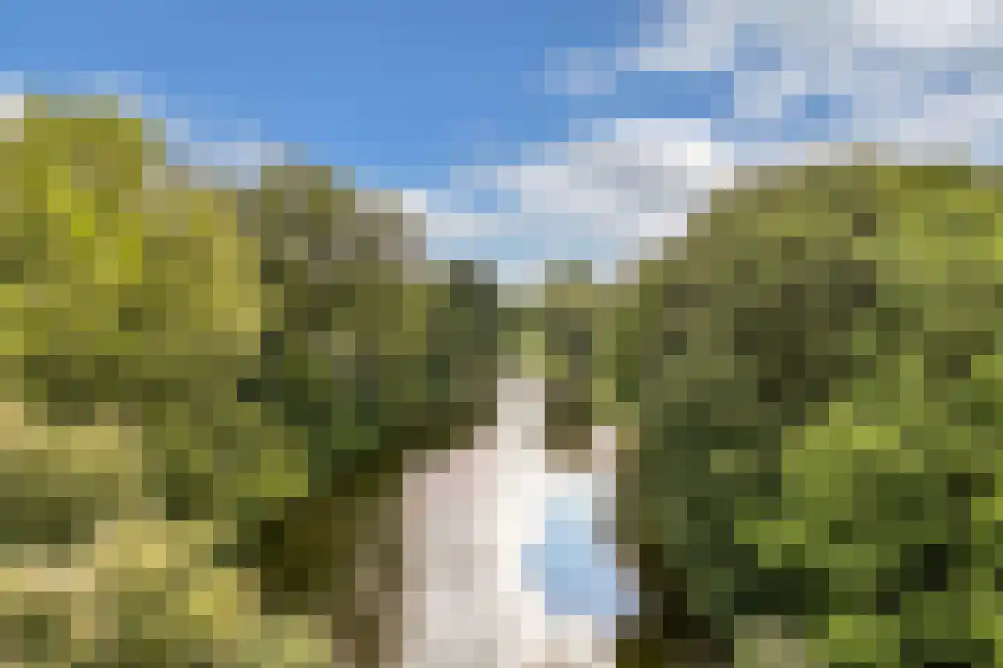 Naardingerland 9 Huizen thumbnail 4