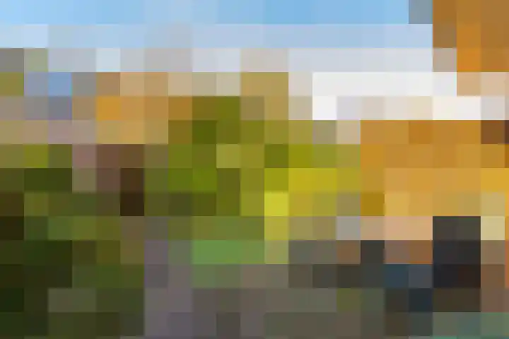 Naberlaan 13 Utrecht thumbnail 11