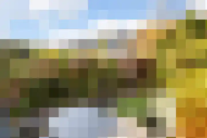 Naberlaan 13 Utrecht thumbnail 12