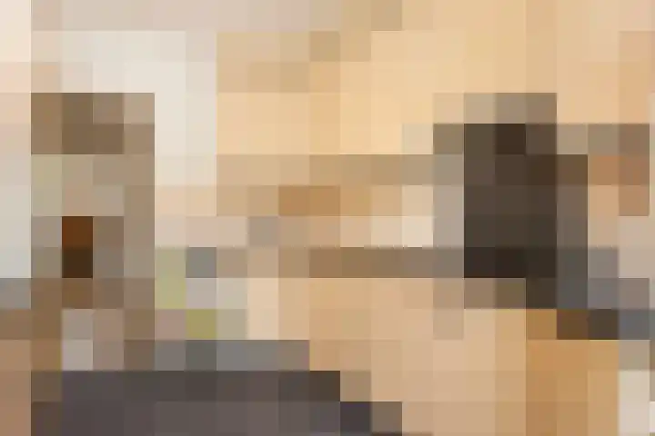 Naberlaan 13 Utrecht thumbnail 15