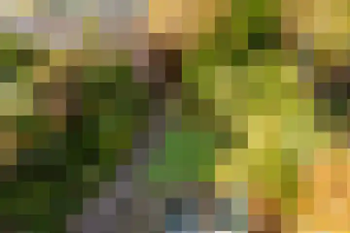 Naberlaan 13 Utrecht thumbnail 17