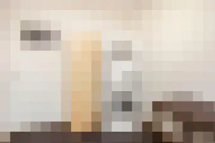 Naberlaan 13 Utrecht thumbnail 21