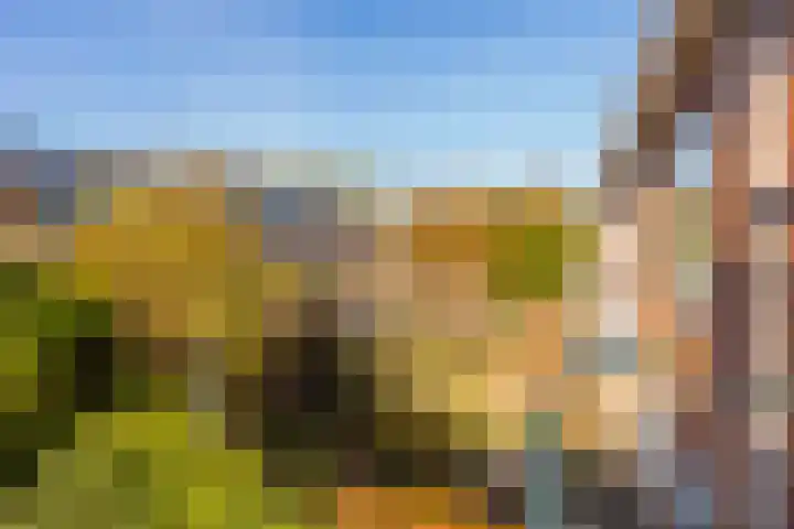 Naberlaan 13 Utrecht thumbnail 24
