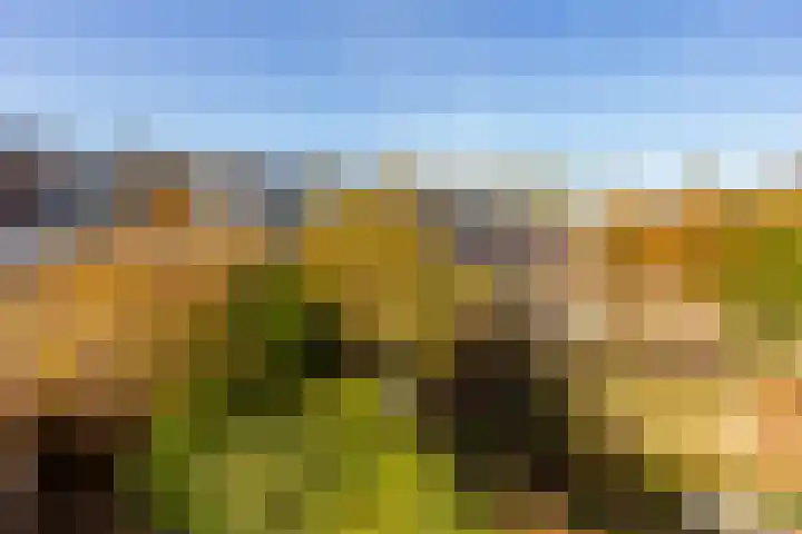 Naberlaan 13 Utrecht thumbnail 25