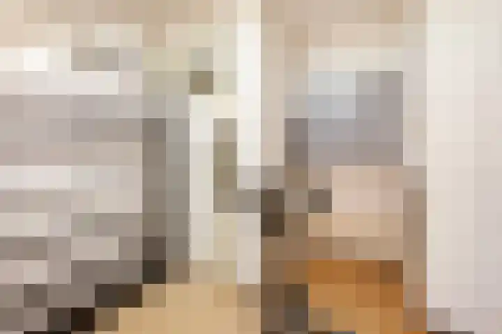 Naberlaan 13 Utrecht thumbnail 34