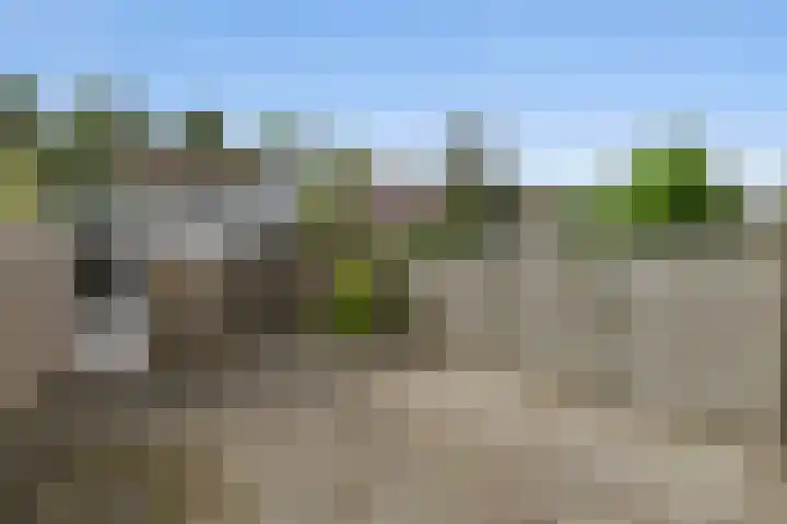 Naberpad 10 Eindhoven thumbnail 23