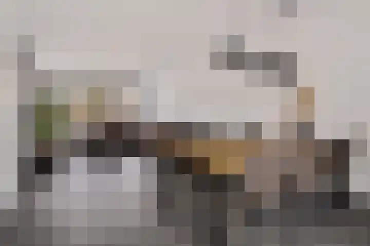Naberpad 16 Eindhoven thumbnail 16