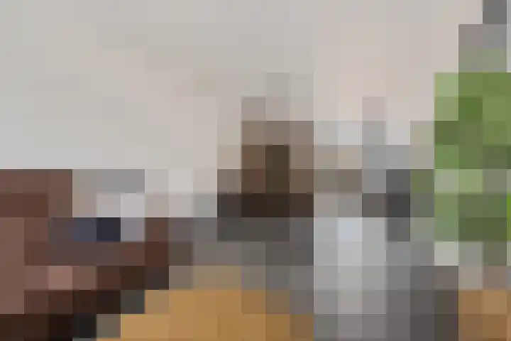 Naberpad 16 Eindhoven thumbnail 18