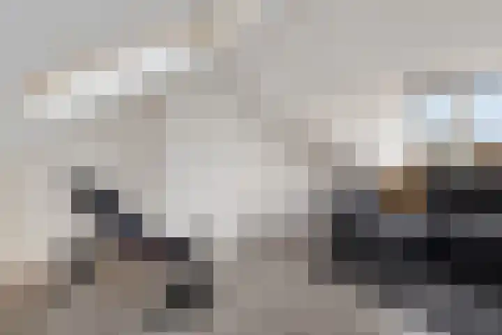 Naberpad 16 Eindhoven thumbnail 36