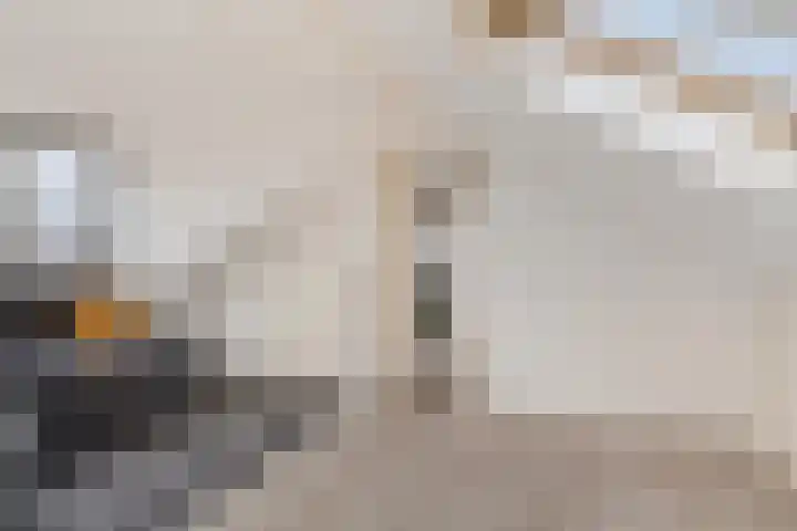 Naberpad 16 Eindhoven thumbnail 37