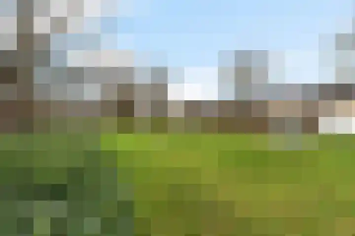 Naberpad 16 Eindhoven thumbnail 45
