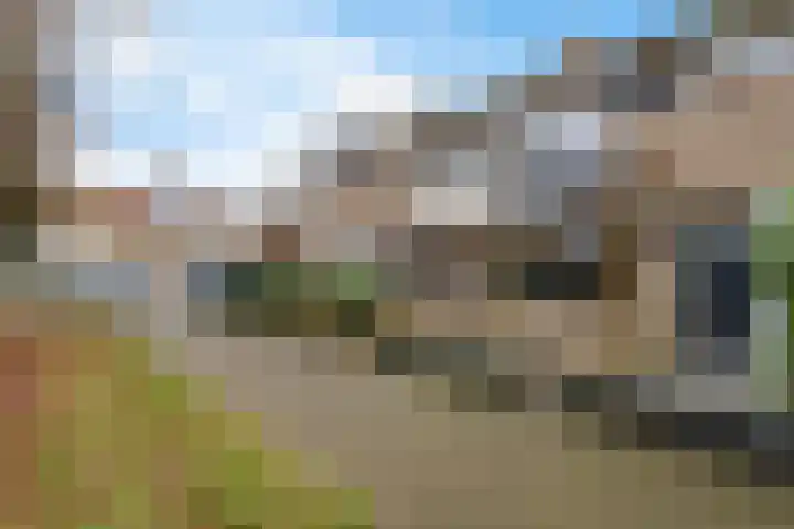 Naberpad 16 Eindhoven thumbnail 6